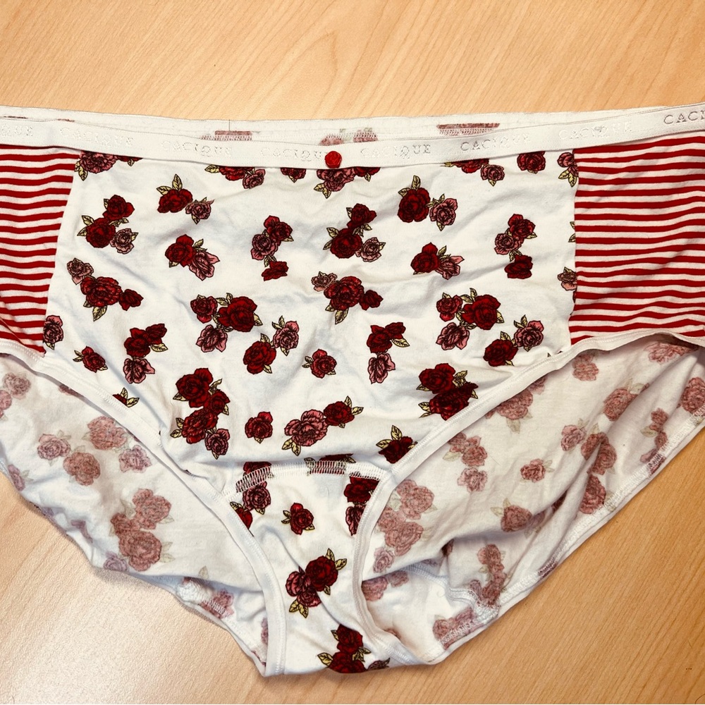 Cacique high leg brief